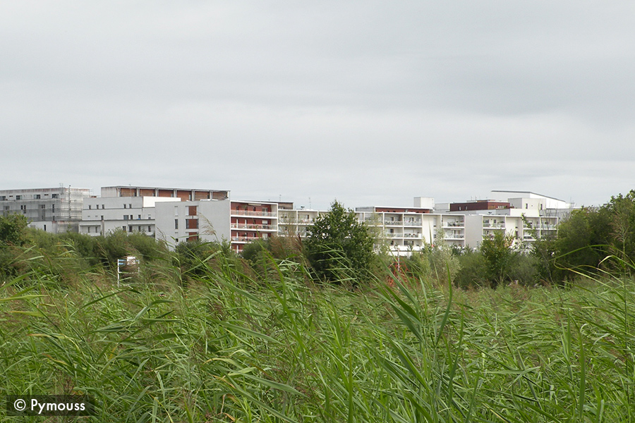 Saint-Jacques-de-la-Lande