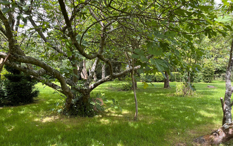
Propriété rurale sur 11658m2
 - Photo 7