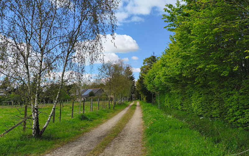 
Propriété rurale sur plus de 3 ha.
 - Photo 3