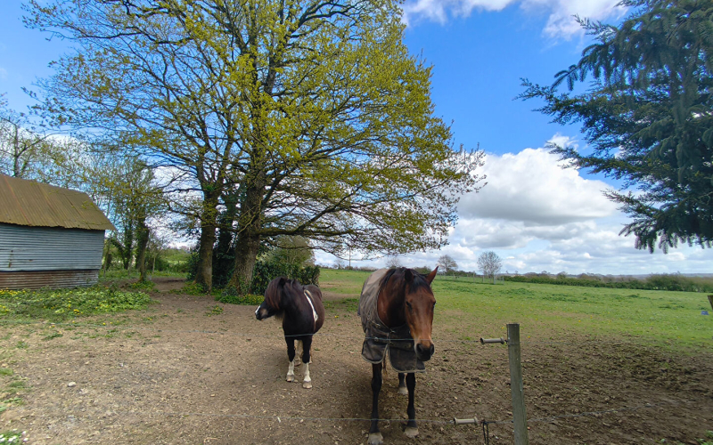 
Propriété rurale sur plus de 3 ha.
 - Photo 4