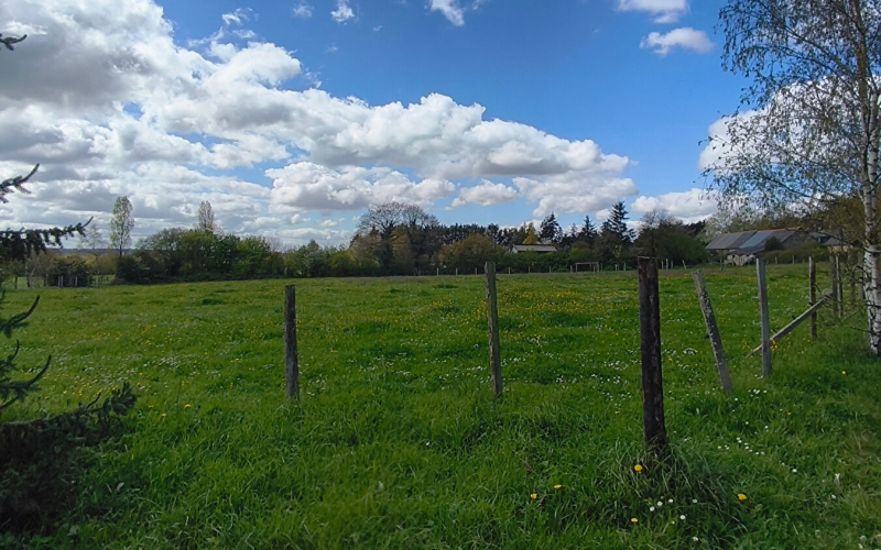 
Propriété rurale sur plus de 3 ha.
 - Photo 5