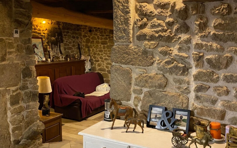 
Propriété avec un pré de plus de 7000m²
 - Photo 2