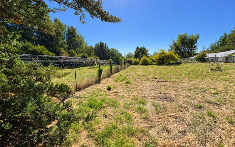 
Propriété rurale sur 1ha 29a 12ca
 - Photo 11