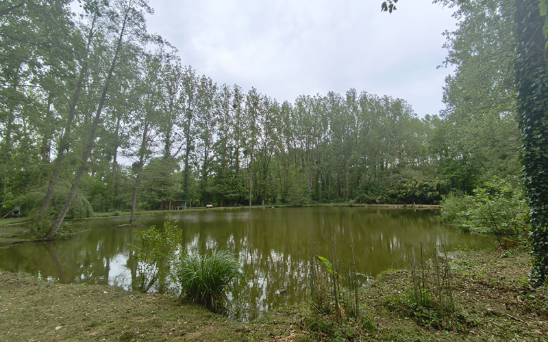 
Terrain de loisirs avec étang sur Marcillé-Raoul (35)
 - Photo 2