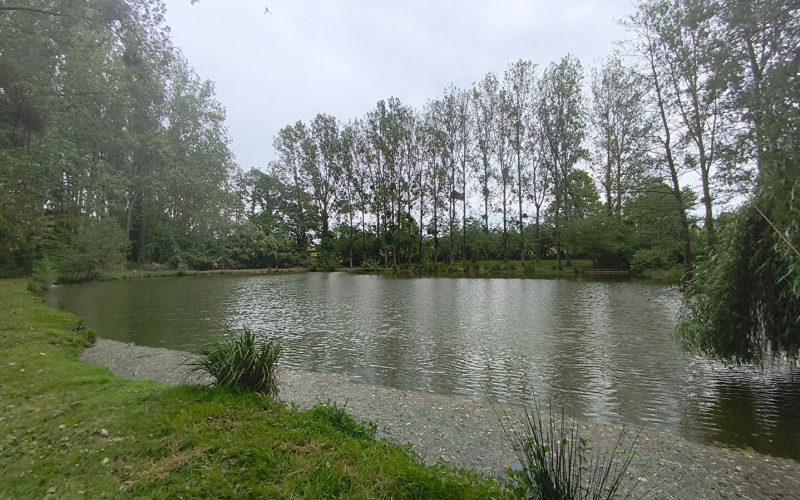 
Terrain de loisirs avec étang sur Marcillé-Raoul (35)
 - Photo 7