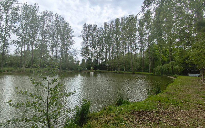 
Terrain de loisirs avec étang sur Marcillé-Raoul (35)
 - Photo 9