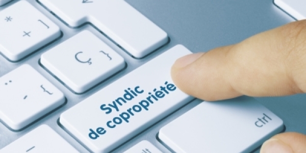 Un copropriétaire peut-il être dédommagé en cas d’annulation du mandat de syndic ?