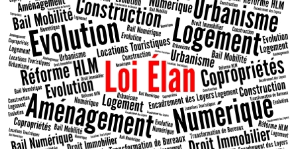 Loi Elan : les rejets et validations du Conseil Constitutionnel